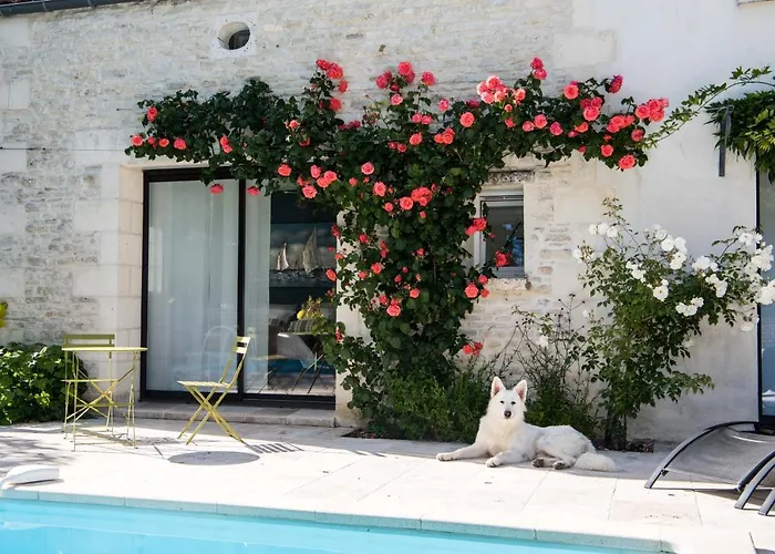 Le Logis de La Brumanderie - Saintes